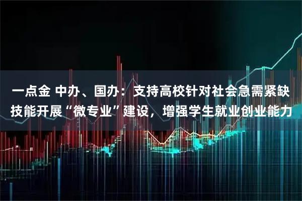 一点金 中办、国办：支持高校针对社会急需紧缺技能开展“微专业”建设，增强学生就业创业能力