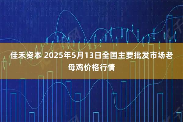 佳禾资本 2025年5月13日全国主要批发市场老母鸡价格行情