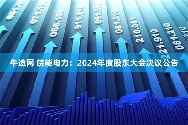 牛途网 皖能电力：2024年度股东大会决议公告