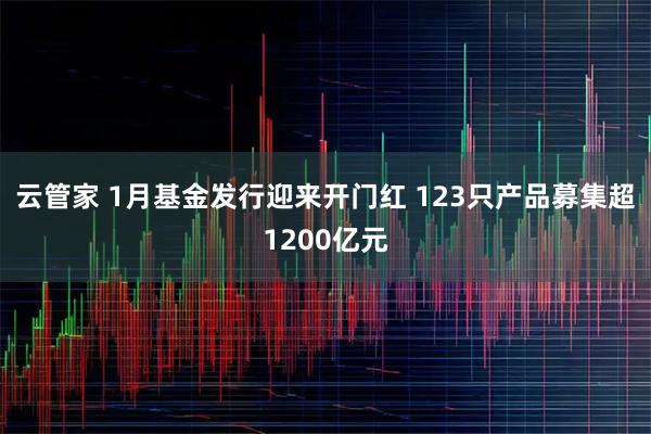 云管家 1月基金发行迎来开门红 123只产品募集超1200亿元